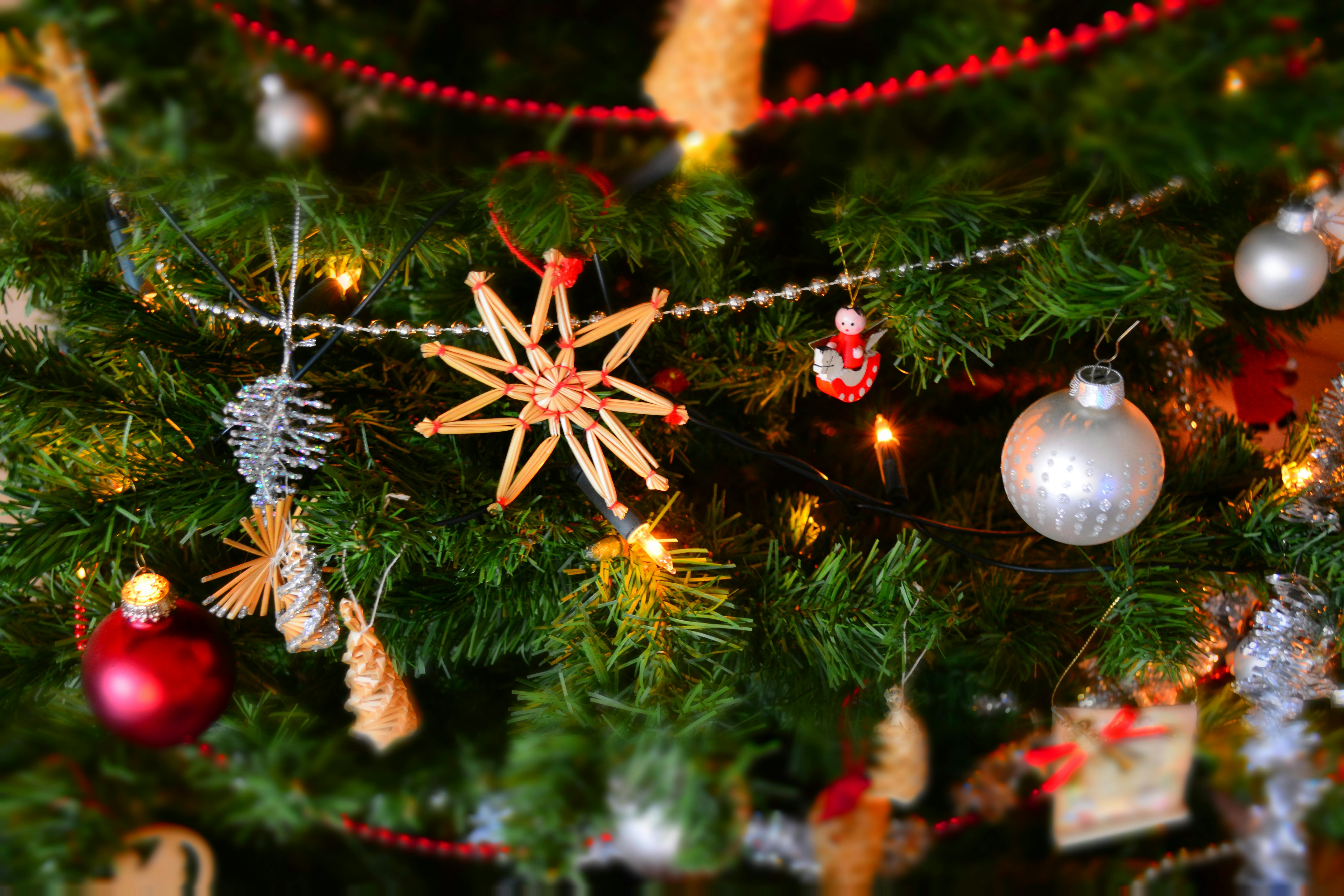 Close-up of Christmas Decoration Hanging on Tree - Photo:pexels.com  