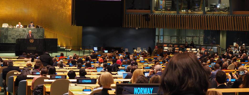 Representant in det norske setet under CSW66
