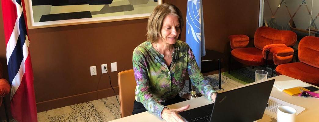 GoF LDC - Photo:NorwayUN