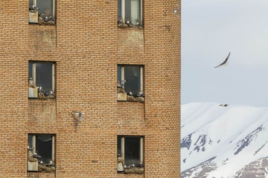 Barentsburg2