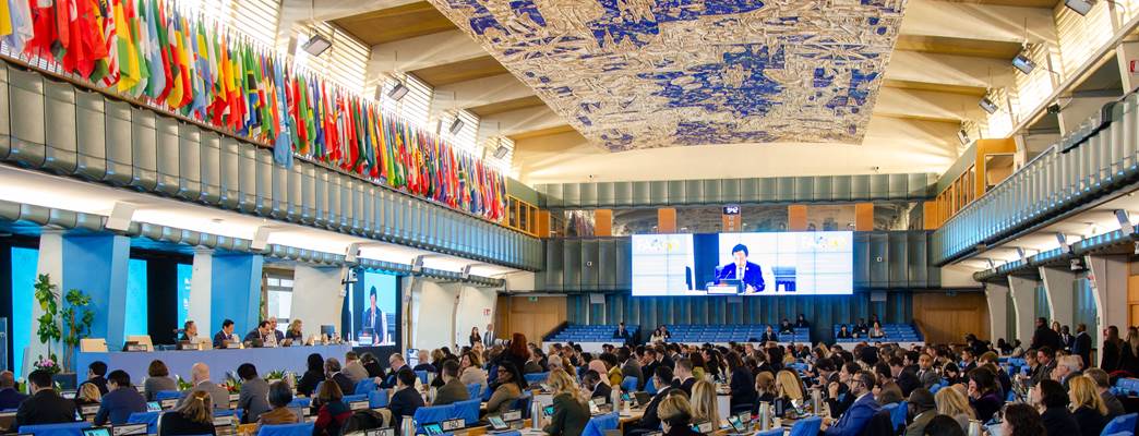 View of the Plenary Hall at FAO - Photo:Markus Tonholt Hovland