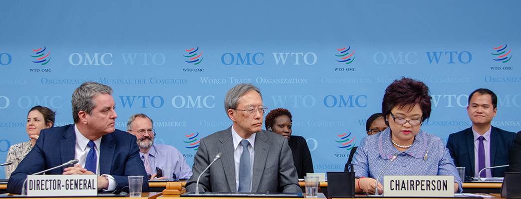 WTO GC - Photo:WTO.org