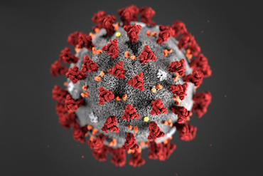 Koronavirus - Photo:FHI: CDC, Alissa Eckert