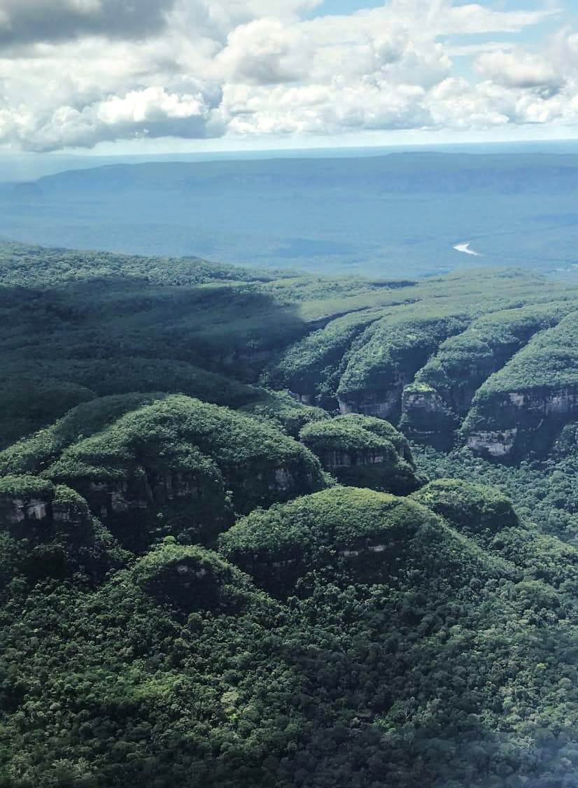 Amazon Jungle