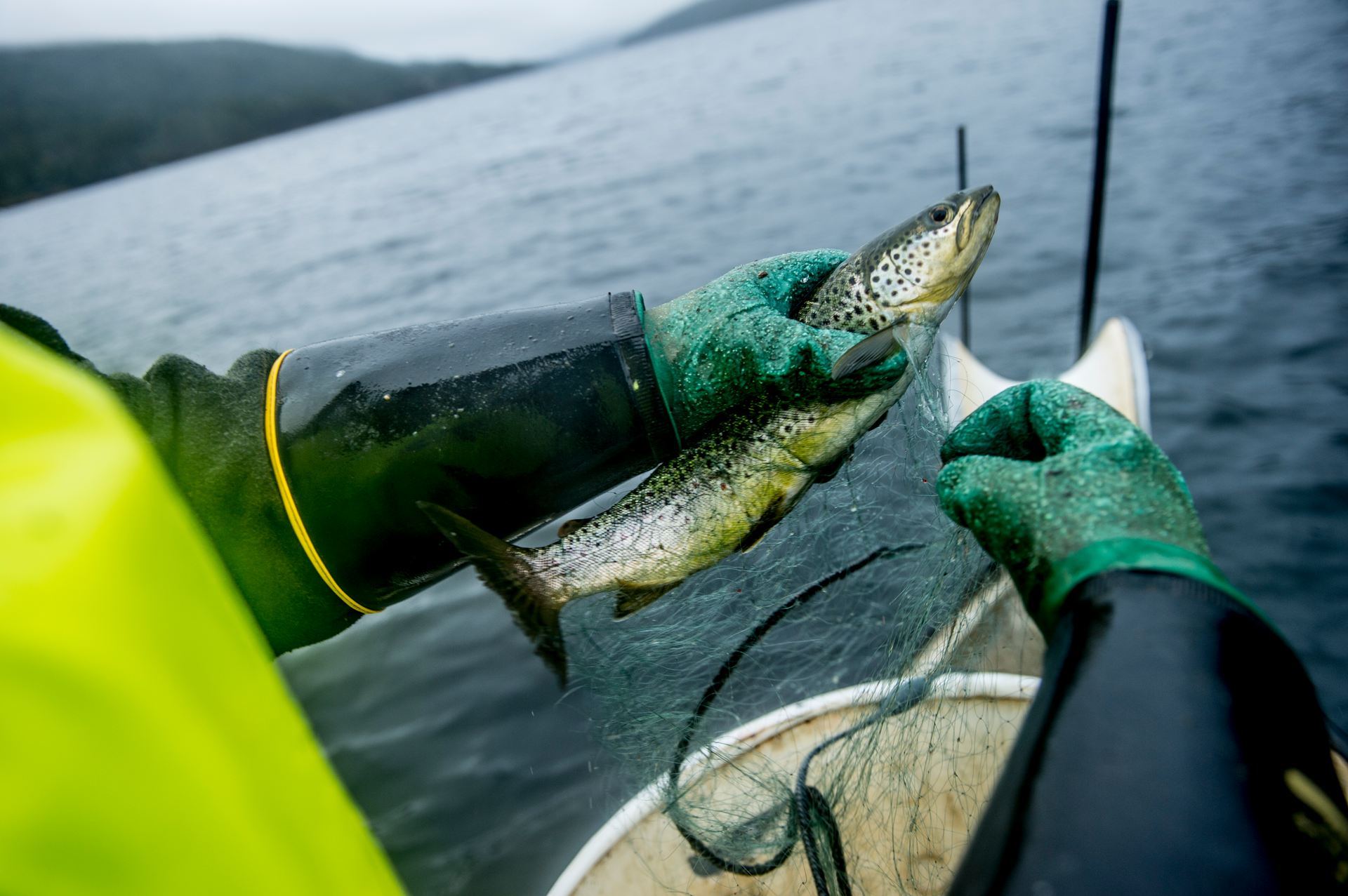 Fishery in the mountains_Thomas Rasmus Skaug - VisitNorway.com.png