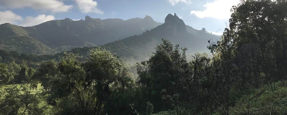 Bale Oromia Forest - Photo:RNE