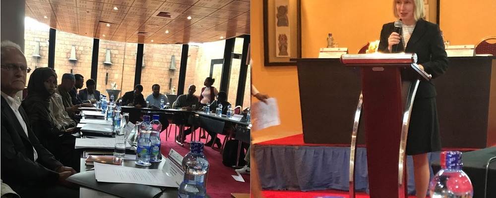 ICRAF2017.JPG