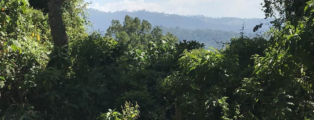 Jimma Shabe Sombo