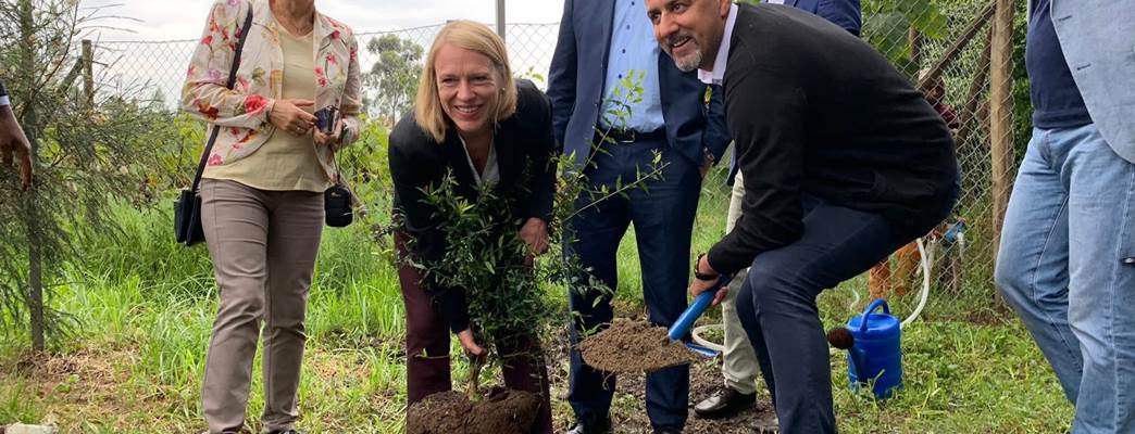 Norwegian parliamentarians plant trees in Addis Ababa to support Ethiopia's Green Legacy Initiative.  - Photo:Marit Svälas